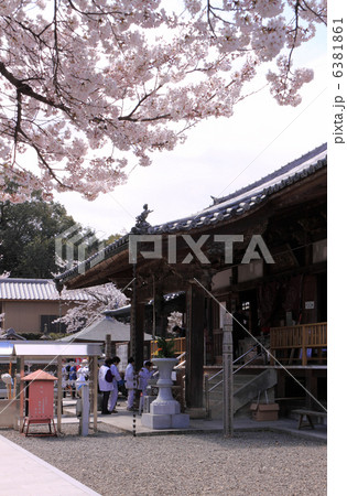 春の四国霊場第67番札所「大興寺」本堂、桜とお遍路さん 6381861