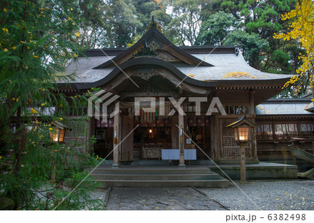 高千穂神社 高千穂神社 6382498