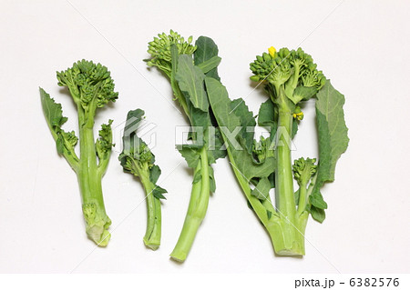 はなっこりー(山口県の新野菜) はなっこりー(山口県の新野菜) 6382576