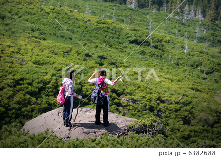 登山で森林浴 登山で森林浴 6382688