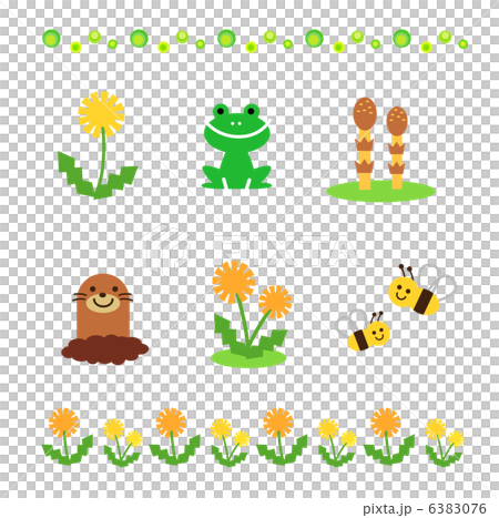 Spring material 6383076