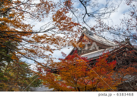 南禅寺の紅葉 南禅寺の紅葉 6383468