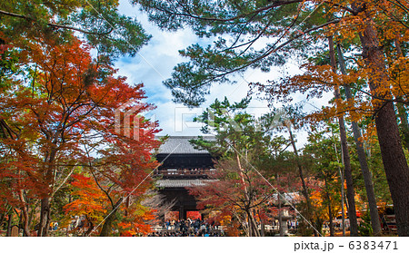 南禅寺　三門 6383471