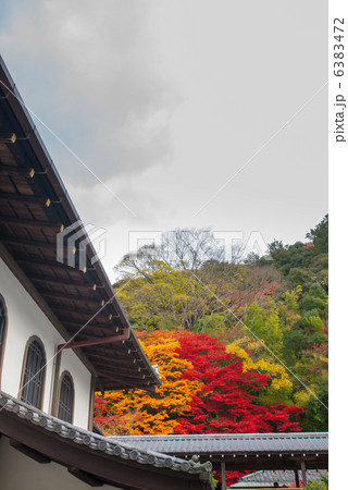 南禅寺の紅葉 6383472