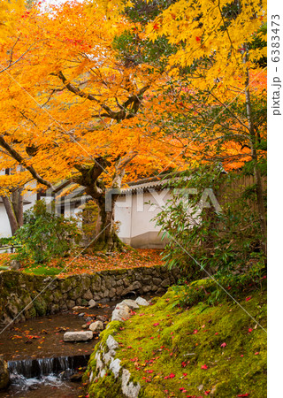 南禅寺の紅葉 6383473