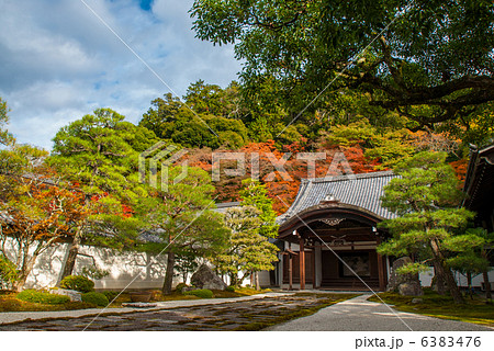 南禅寺 本坊の大玄関 南禅寺 本坊の大玄関 6383476
