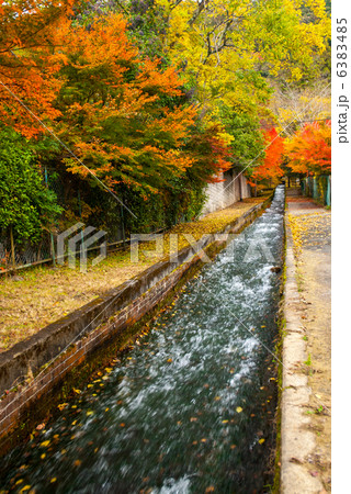 南禅寺の紅葉 南禅寺の紅葉 6383485