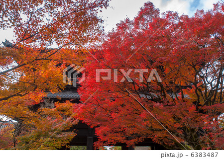 南禅寺の紅葉 南禅寺の紅葉 6383487