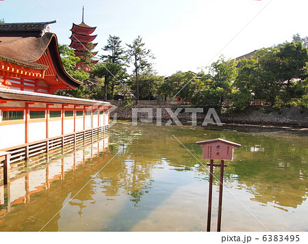 厳島神社と五重塔 厳島神社と五重塔 6383495