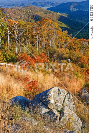 Shenandoah National park 6383789