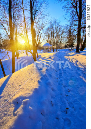 Sunset in winter park 6383922