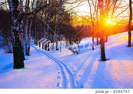 Red sunset in a winter forest 6384747