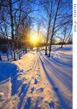 sunset in a winter park 6384748