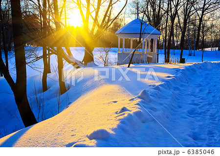 Sunset in winter park 6385046