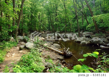 Wood river in Shenandoah National park Wood river in Shenandoah National park 6385181