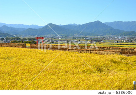 日本的風景 6386000