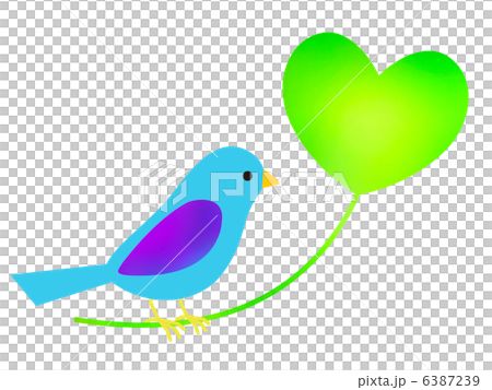 blue bird blue bird 6387239