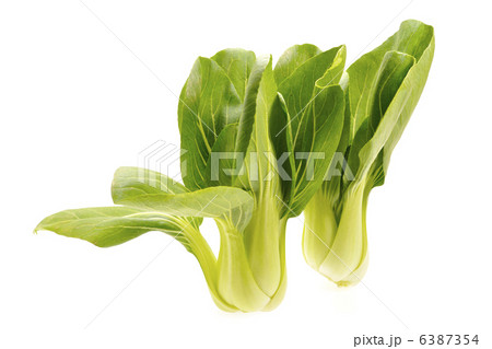 チンゲンサイ 6387354