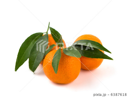 tangerines isolated tangerines isolated 6387618