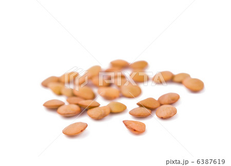 lentils isolated lentils isolated 6387619
