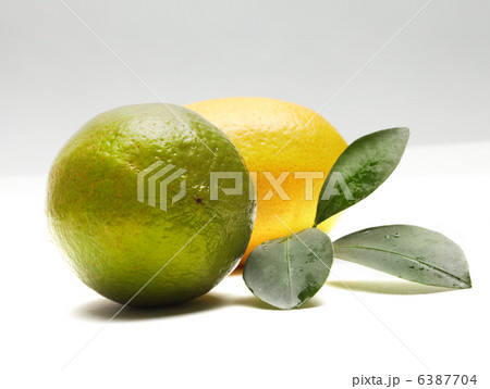 lemon and lime 6387704