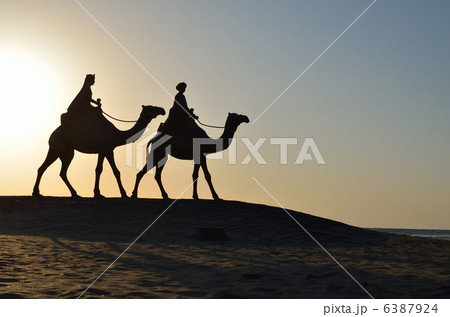 月の砂漠　らくだ像　日の出 6387924