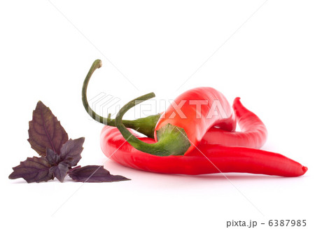 Hot red chili or chilli pepper and basil leaves still life Hot red chili or chilli pepper and basil leaves still life 6387985