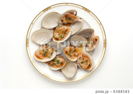 料理 貝 海の幸 魚貝類 ハマグリ 二枚貝 海産物 食品 料理 貝 海の幸 魚貝類 ハマグリ 二枚貝 海産物 食品 6388583
