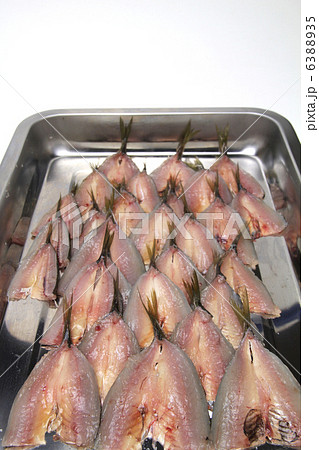 豆鯵　三枚おろし 6388935