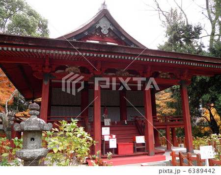 談山神社 東殿 談山神社 東殿 6389442