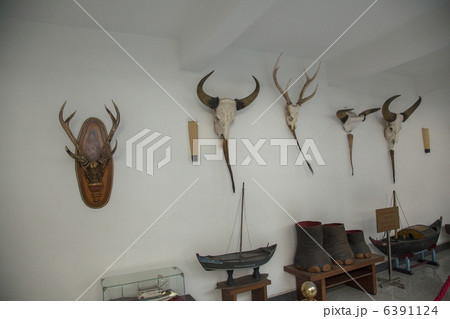 ホーチミン市の統一会堂(旧大統領官邸) ホーチミン市の統一会堂(旧大統領官邸) 6391124