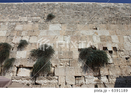 嘆きの壁 6391189