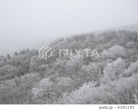金剛山樹氷２ 6391295