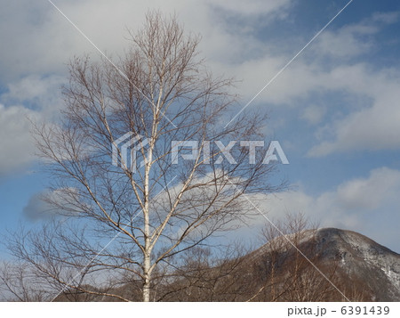 冬の赤城山(1) 冬の赤城山(1) 6391439