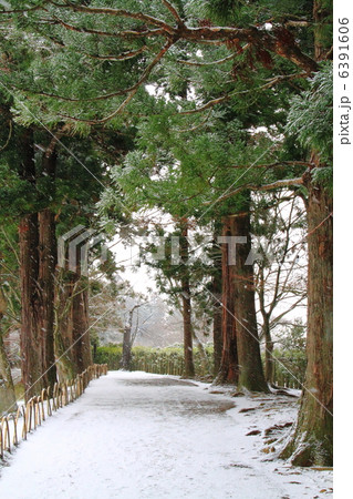 毛越寺 小径-平泉にて 毛越寺 小径-平泉にて 6391606