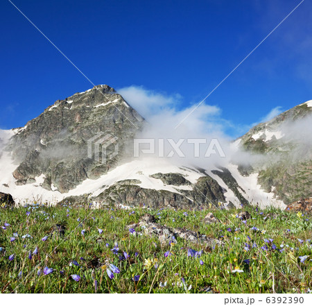 Mountain meadow Mountain meadow 6392390