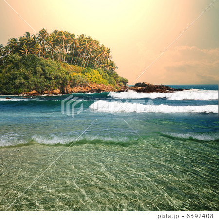 Tropical beach 6392408