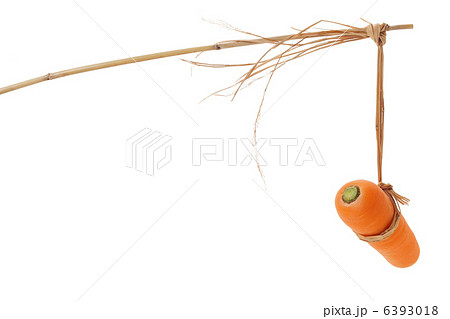 馬に人参のイメージ 馬に人参のイメージ 6393018