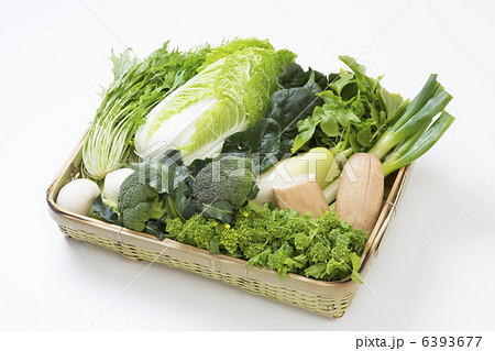 冬野菜の集合写真 6393677