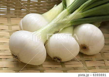 葉付き玉ねぎ 6393691