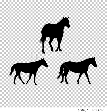Horse silhouette Horse silhouette 6393763