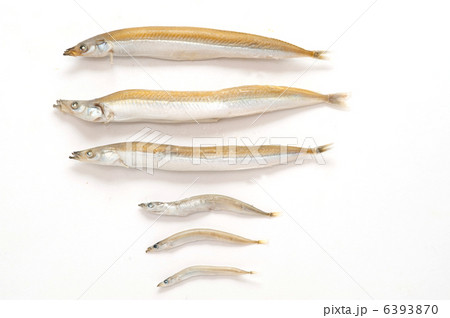 いかなご　比較 6393870