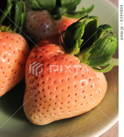 白イチゴ 6394804