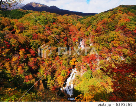 紅葉の霧降の滝 6395269