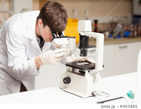 Science student looking in a microscope Science student looking in a microscope 6403885