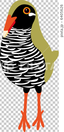 ヤンバルクイナ 6405626