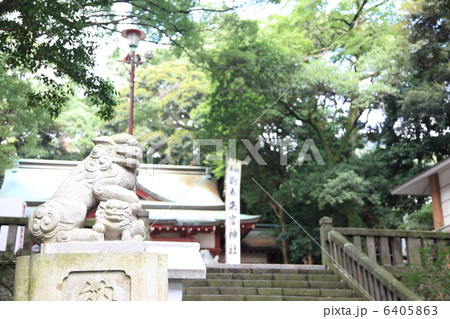 来宮神社 阿豆佐和気神社 パワースポット 6405863