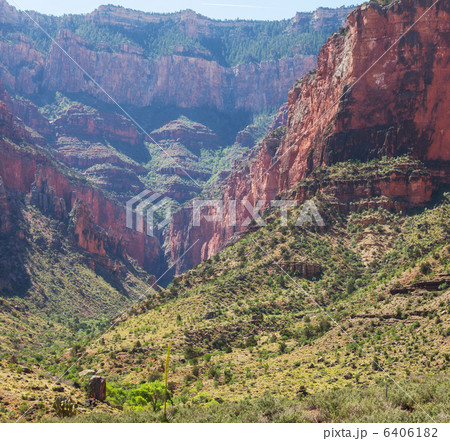 Grand Canyon 6406182