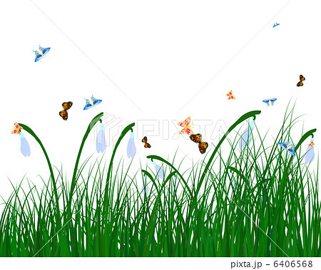 Color meadow 6406568