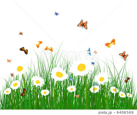 Color meadow 6406569